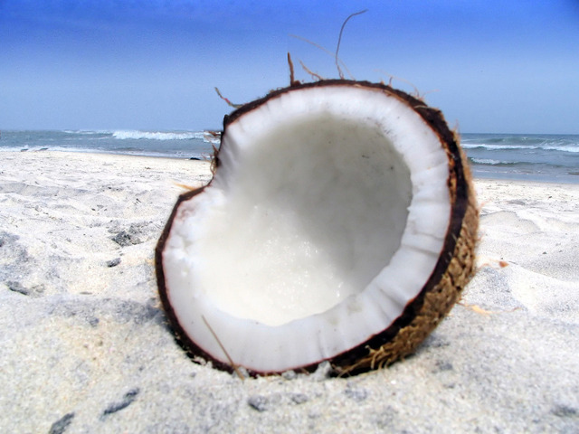 Ilustrasi Sabut Kelapa | Img:freeimages.com