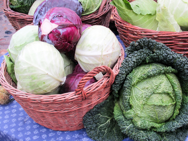 Ilustrasi Sayur Kol | Img:freeimages.com