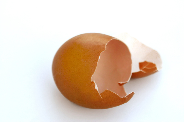 Ilustrasi Kulit Telur | Img:freeimages.com