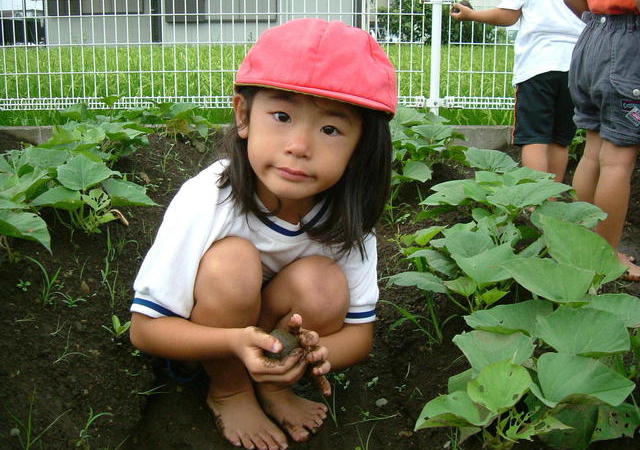 Berkebun di rumah