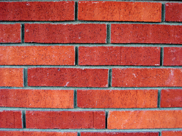 Ilustrasi Bata Merah | Img:freeimages.com