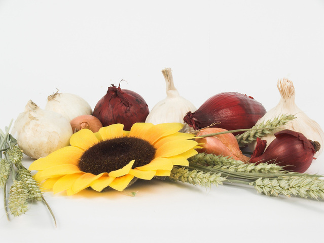 Ilustrasi Bawang | Img:freeimages.com